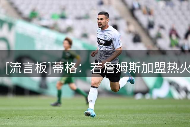 [流言板]蒂格：若詹姆斯加盟热火&阿德巴约不适合充当球队第三得分点